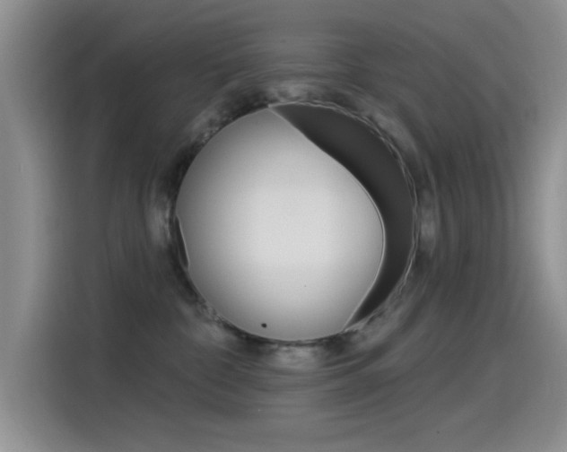 X0000115520332200911061028