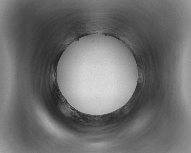X0000115520334200911061028