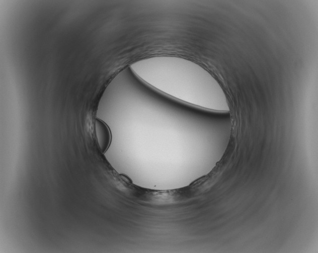 X0000115520335200911061028