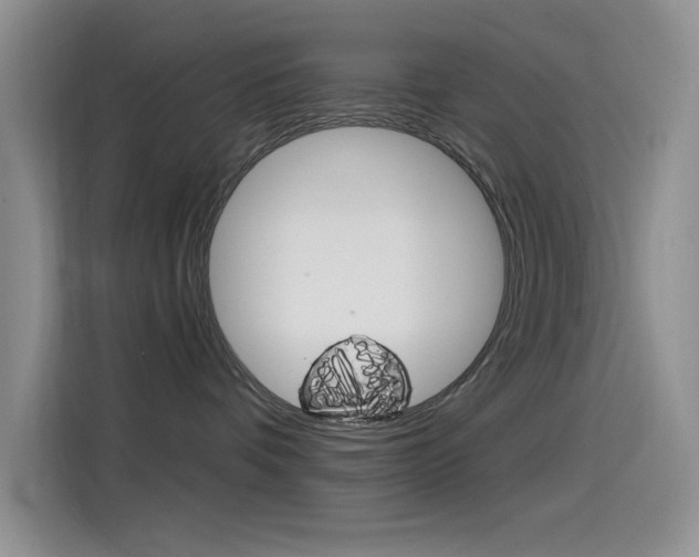 X0000115520336200911061028