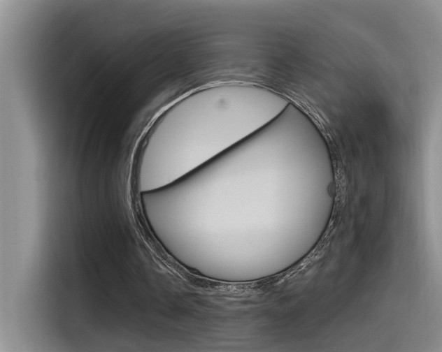 X0000115520338200911061027