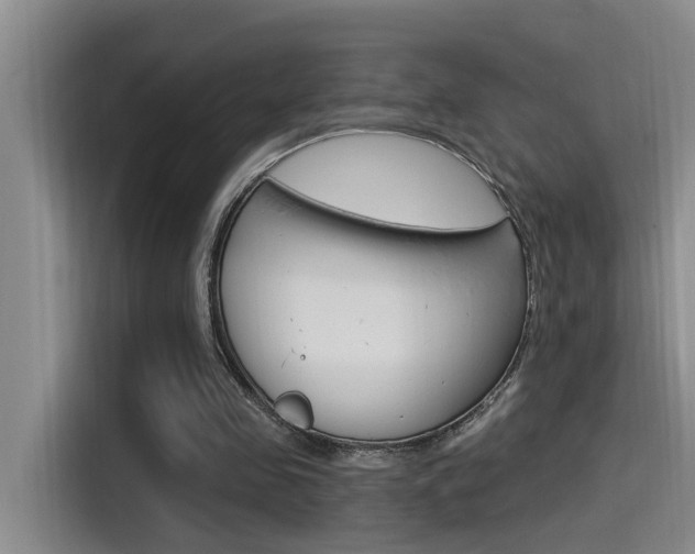 X0000115520341200911061027