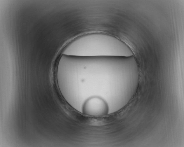 X0000115520346200911061028