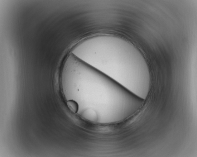 X0000115520349200911061028