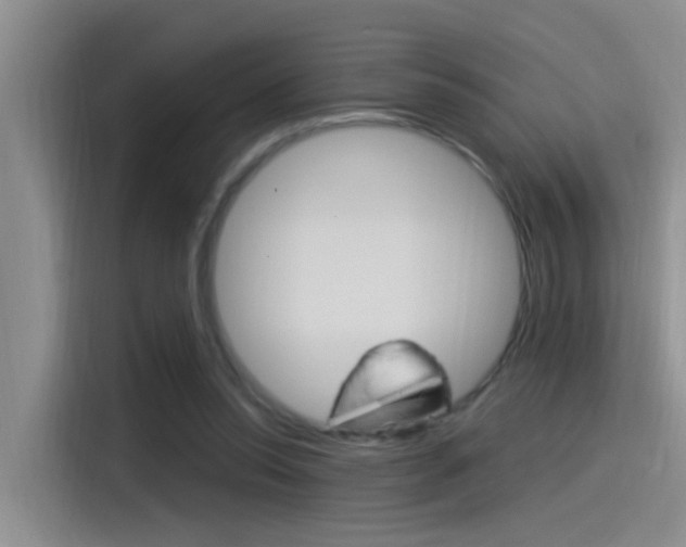 X0000115520350200911061028