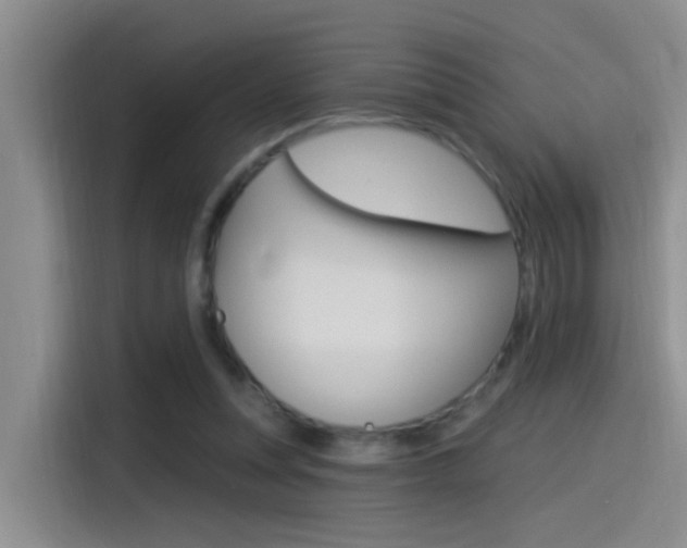X0000115520351200911061028