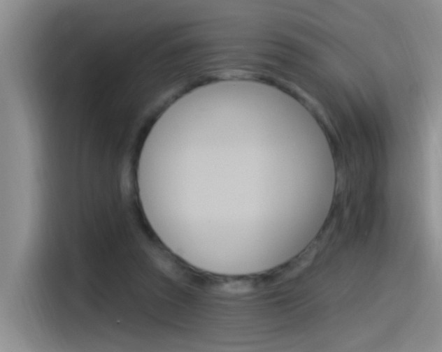 X0000115520353200911061028