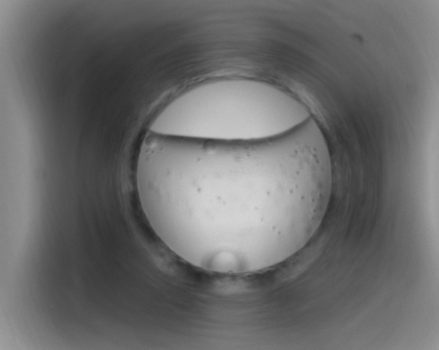 X0000115520354200911061028