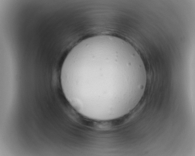X0000115520359200911061028