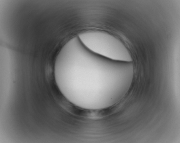 X0000115520365200911061028