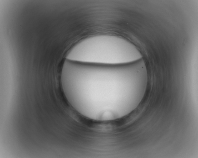 X0000115520366200911061028