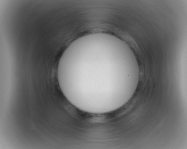 X0000115520369200911061028