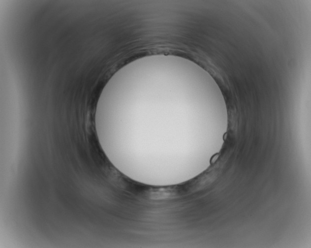 X0000115520378200911061028