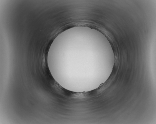 X0000115520381200911061028