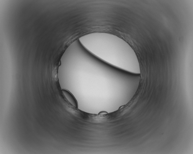 X0000115520383200911061028