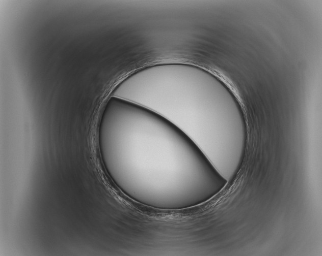 X0000115520385200911061027