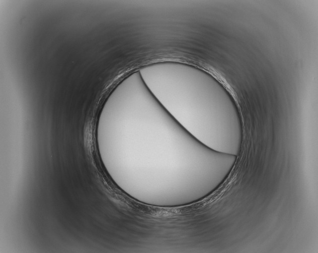X0000115520386200911061027