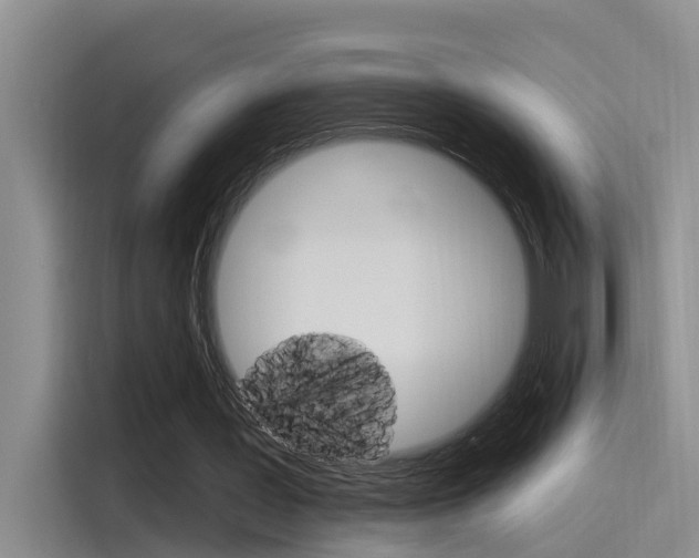 X0000115520387200911061027