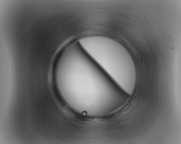 X0000115520396200911061027