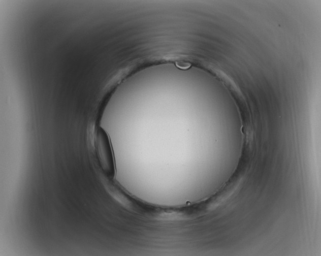 X0000115520397200911061027