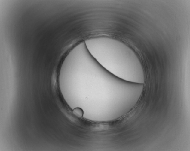 X0000115520398200911061027