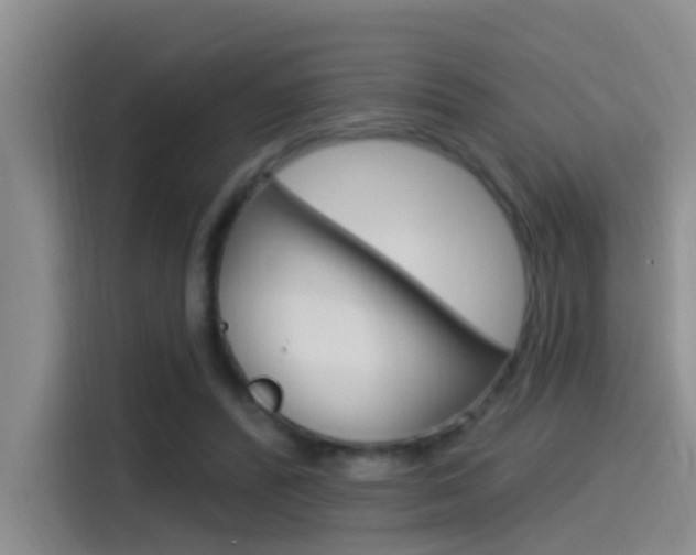 X0000115520400200911061027