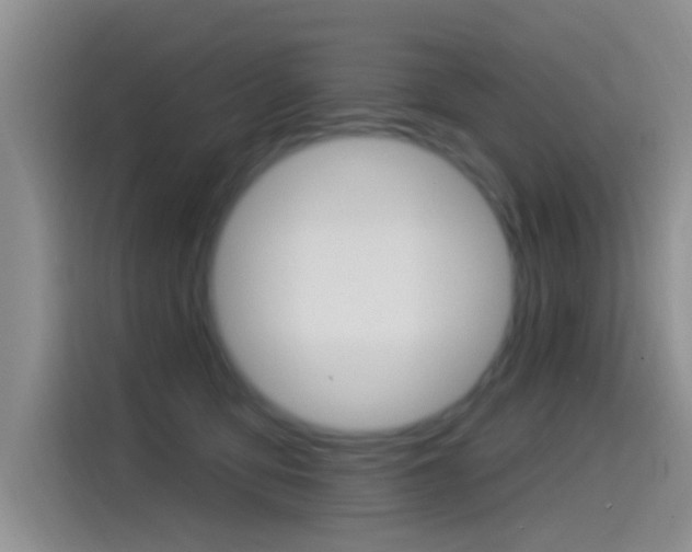 X0000115520419200911061027
