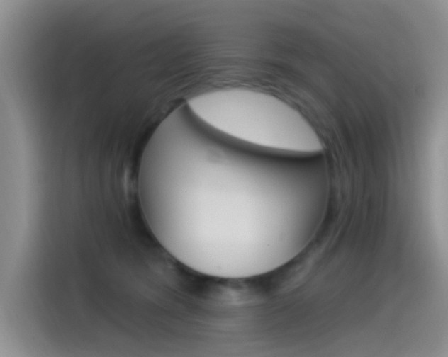 X0000115520420200911061027