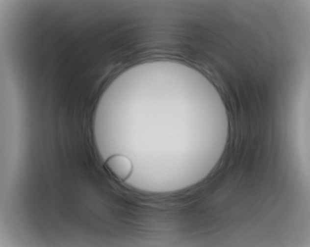 X0000115520423200911061027
