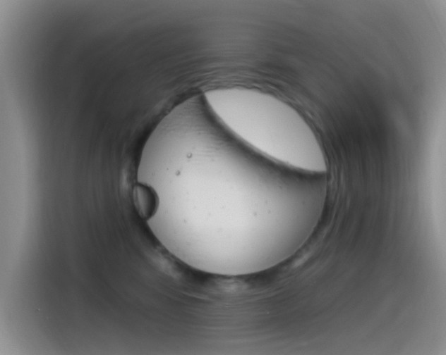 X0000115520424200911061027