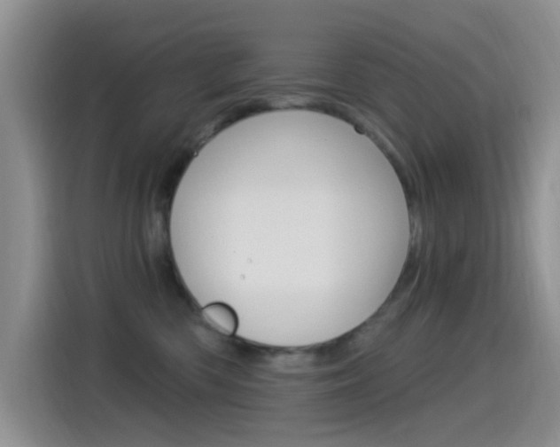 X0000115520426200911061027