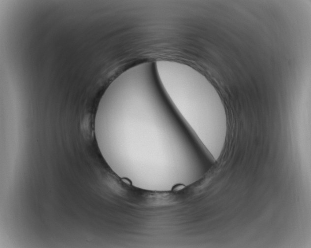 X0000115520428200911061027