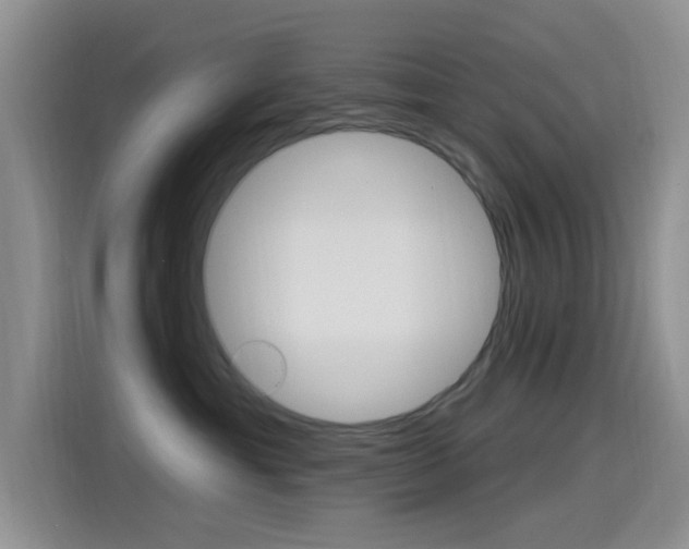 X0000115520429200911061027