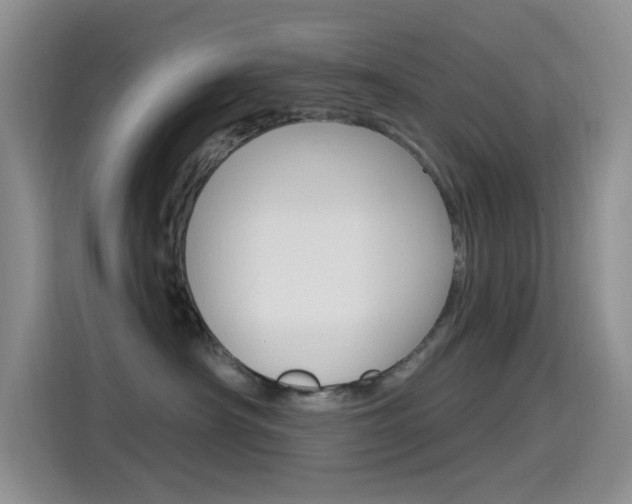 X0000115520430200911061027