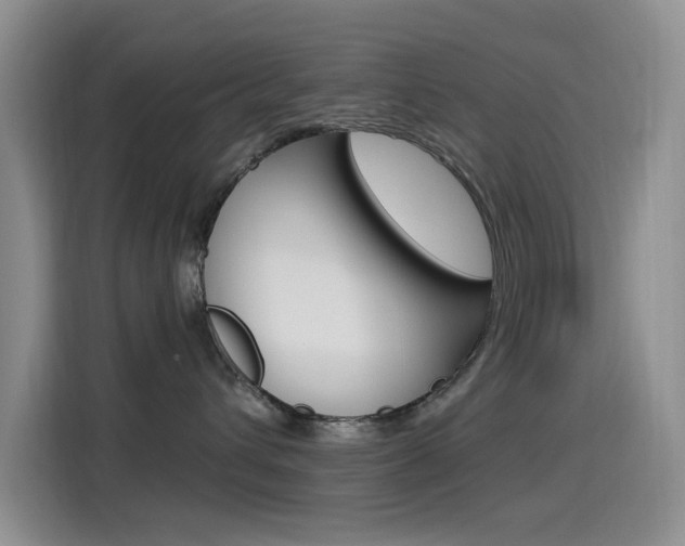 X0000115520432200911061027