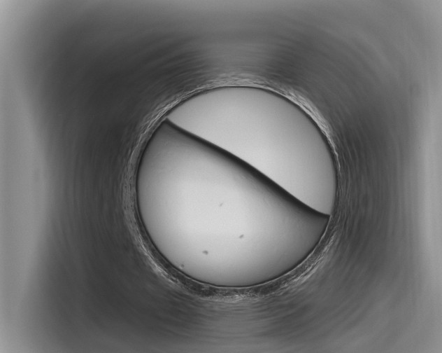 X0000115520433200911061026