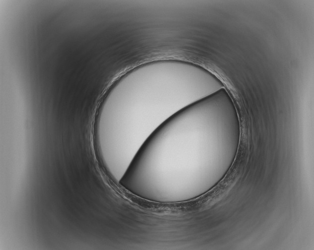 X0000115520434200911061026