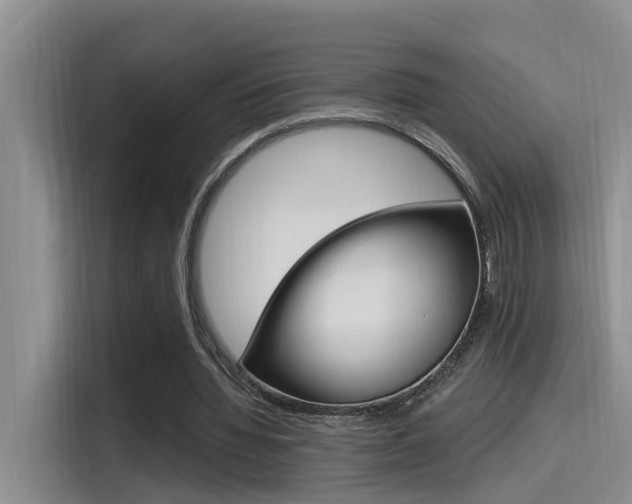 X0000115520436200911061026