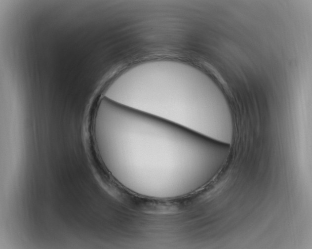 X0000115520443200911061026