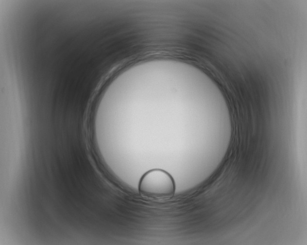 X0000115520444200911061026