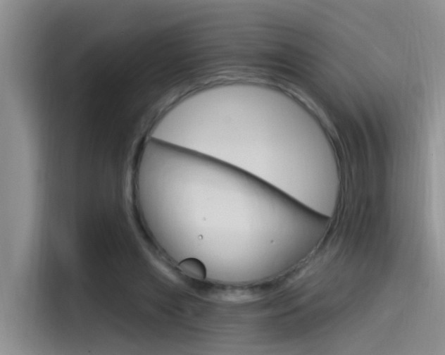 X0000115520445200911061026