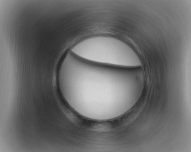 X0000115520447200911061026