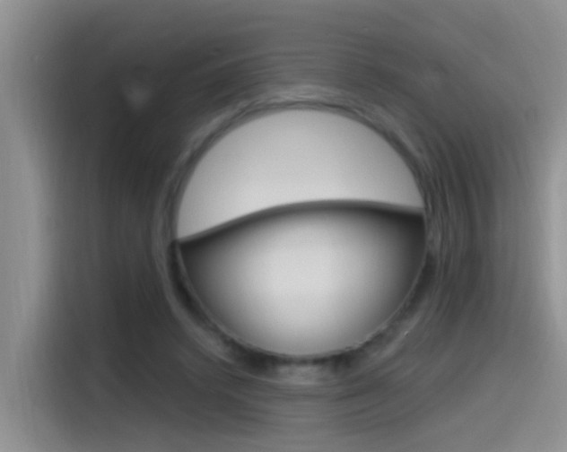 X0000115520448200911061026