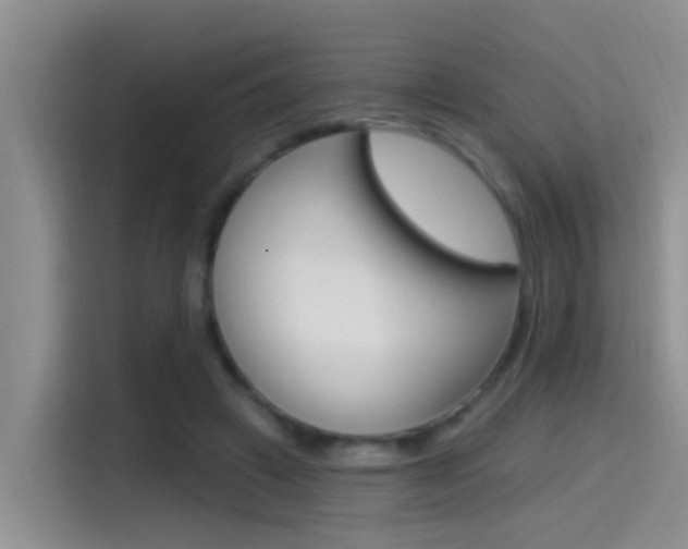 X0000115520449200911061026