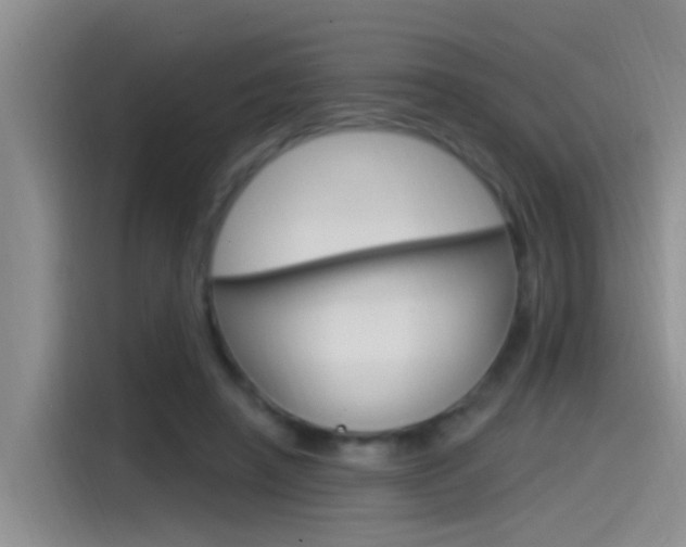 X0000115520450200911061026