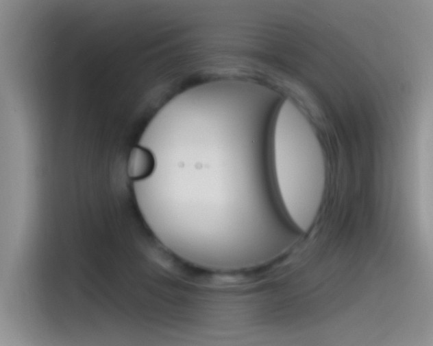X0000115520457200911061026