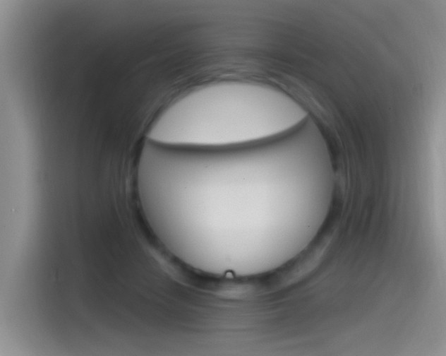 X0000115520458200911061026