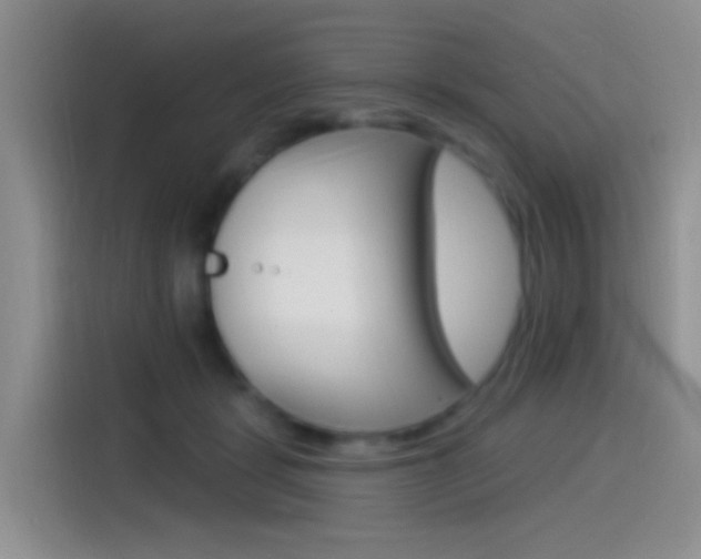 X0000115520461200911061027