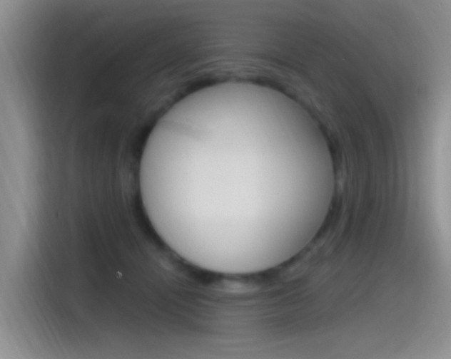 X0000115520464200911061027