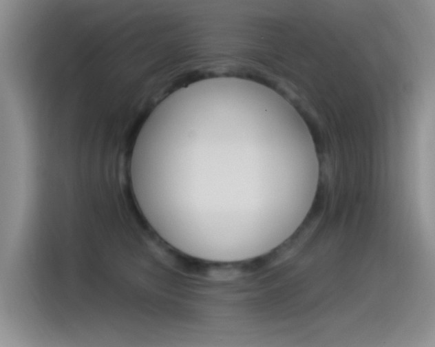 X0000115520470200911061027